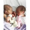 Cuski Miniboo 2 Pack, Prem Baby Comforter, as used within NHS (Cream)