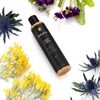 PhB Shamp Oud Royal Forev Sh 220ml