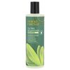 Desert Essence Tea Tree Replenishing Shampoo 12 9 fl oz 382 ml Biodegradable,