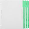 Exhibitindexes® Genealogy Binder Dividers