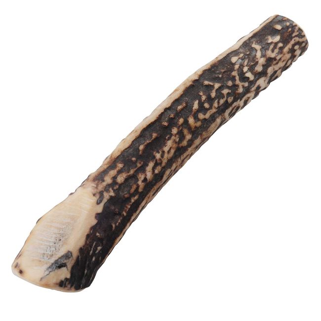 monolife Deer Antler Dog Toy, Additive-free, Snack, Ezodika, Domestically Produced, Deer Antler Gum, Dental Care (Medium Size Dogs, 5.9 inches (15 cm)