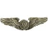 EagleEmblems P16064 Wing-USAF,Aircrew,Basic (3'')