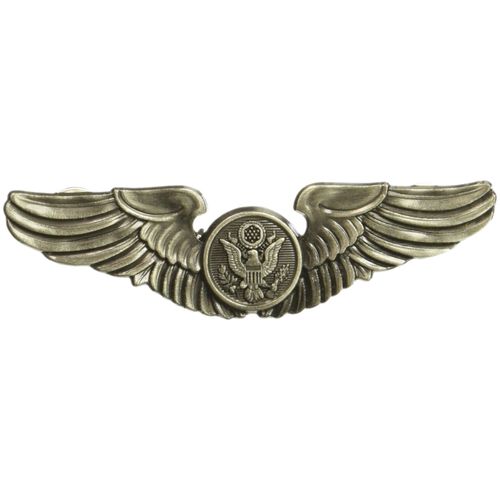EagleEmblems P16064 Wing-USAF,Aircrew,Basic (3'')