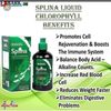 EDMARK Splina Liquid Chloropyll 500ml