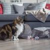 Petface Angry Mouse Cat Crinkle Bag, Grey
