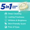 Arm & Hammer Sensitive Fresh Scent 5-IN-1 Power Paks, 42 count