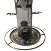 Henry Bell Metal Wild Bird Seed Feeder
