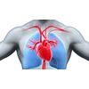 brain nutrition - BEETROOT PILLS - blood pressure formula 1 BOTTLE