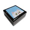 Mystic Sloth Adorable Cat Breed Specific Jewelry/Memory Box (Persian)