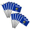 Wisconsin 4x6in Stick Flag - 1 dozen pack