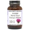 Maral Extract 10:1 | Rhaponticum Carthamoides | Muscle Support & Endurance