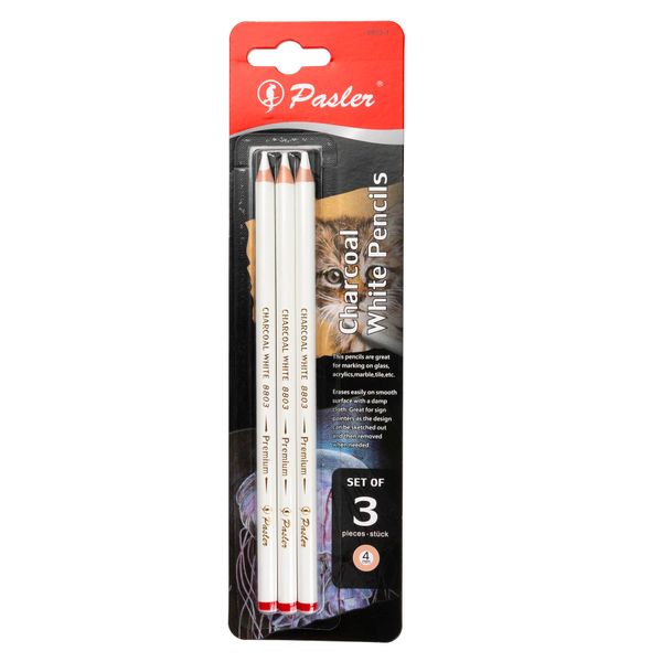 Pasler white charcoal pencils - Set of 3 pcs highlight sketch white pencil