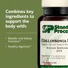 Standard Process Collinsonia Root 150 C by SP