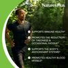 Natures Plus VITAMIN C 1000 MG SUSTAINED RELEASE ROSE HIPS TABS 60
