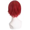 MapofBeauty Special Fashion Short Straight Cosplay Wig