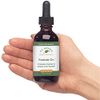 Native Remedies Prostate Dr. - All Natural Herbal Supplement Supports Prostate Gland Health and Urinary Tract Functioning - 59 mL
