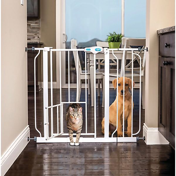 31"H Extra-Wide Walk through Metal Dog Pet Gate, Additional Small Door, White