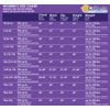 Women's Deluxe Classic Toga Costume Medium