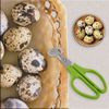 Generic 2-Pack Compact Stainless Steel Quail Egg Scissors - Green Egg Shell Cutter and Opener