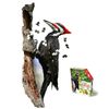 e11even Madd CAPP Puzzles -