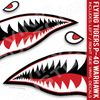 Flying Tiger Decal Shark Teeth Decal P-40 Warhawk Set (20" inches)