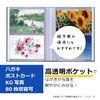 Sekisei PKH-7482 File Postcard Holder, Pakkun, Clear