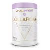 Allnutrition Alldeynn Collarose Raspberry Wild Strawberry 300G