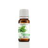 Essential Oil Set 3 - 10 ml. Eucalyptus Lavender Peppermint 100% Pure Undiluted