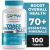 Dr. Berg Trace Minerals Enhanced Complex - Complete with 70 Nutrient-Dense 100CT