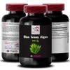 Algae Complex Tablets - BLUE GREEN ALGAE - Algae Power Capsules 2 Bottle 120 Cap