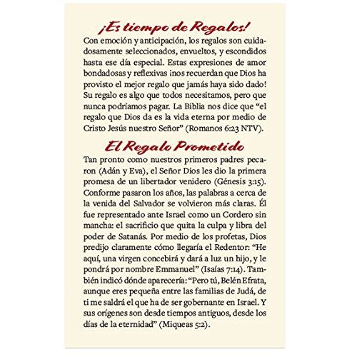 The Best Gift (Gospel Tract - Packet of 100 - Spanish)