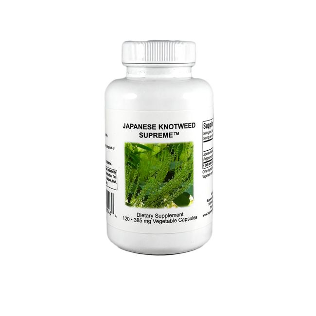 Japanese Knotweed Supreme by Supreme Nutrition - 385 mg/ Capsule - 120 Capsules