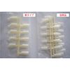 ST Model Hand Nail Tip (JNEC 1st Stage Certified Model Hand)