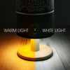 Earnest Living Essential Oil Diffuser Classic Lamp Diffuser 260ml Timers Night Lights and Auto Off Function Home Office Humidifier Aromatherapy Diffusers for Essential Oils Black