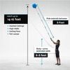 72" Long Extend Handle Cobweb Duster Reach Medium Stiff Bristle Brush Cleaning