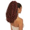 Chade New Born Free Synthetic Drawstring Ponytail - 0382 IVY (1B)