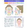 Hippalon Face M (64 Pieces, 1 Month Supply) Face Training & Sleep Beauty