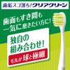 Clear Clean Tooth Face & Gap Plus, Compact, Normal, Set of 6 (*Color cannot be selected)