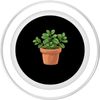 Jade Plant In A Clay Pot PopSockets PopGrip for MagSafe