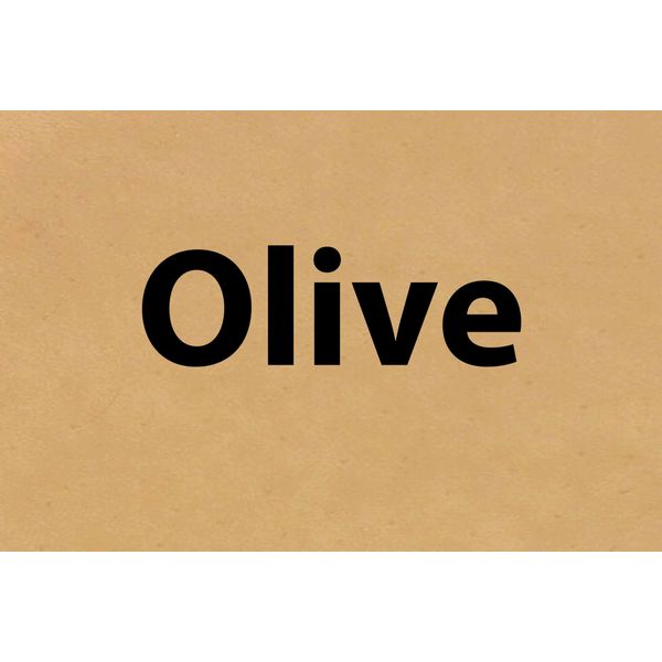 Hide Ink Temporary Tattoo Cover Up 4" x 6" - OLIVE COLOR (5-Pack)