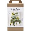 Bumper Bouquet | Crepe Paper Flower Making | Complete Craft Kit