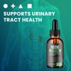 (2 Pack) Potent Stream Drops, Potent Stream Prostate Support Drops (60 ML)