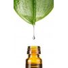 Dragonspice Naturwaren Squalane, 10 ml, 10 ml
