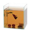 Suisaku Betta Leaf Extract Pack