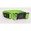 Third Kind Dog Collar with LED Lighting (Medium, Green)