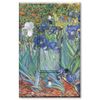 Printed Single-pole Decora Rocker Switch with matching Wall Plate - Van Gogh: Irises