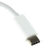 kenable USB 3.1 Type C to DVI USB Adapter & Type C Host with PD Function 15cm [Type C to DVI & USB 3.0 with PD]