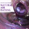 Cat Eye Nail Polish Quick Dry Glitter Nail Polish (03)
