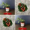 Thai Bird (Birds Eye) Chili Pepper Seeds