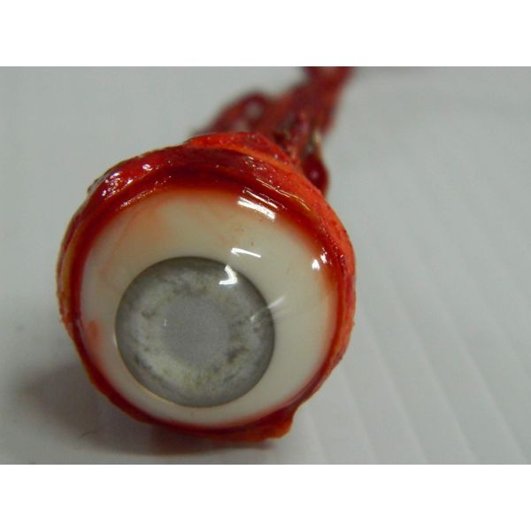 Dead Head Props Halloween Horror Prop Ripped Out Eyeball Blind/Dead